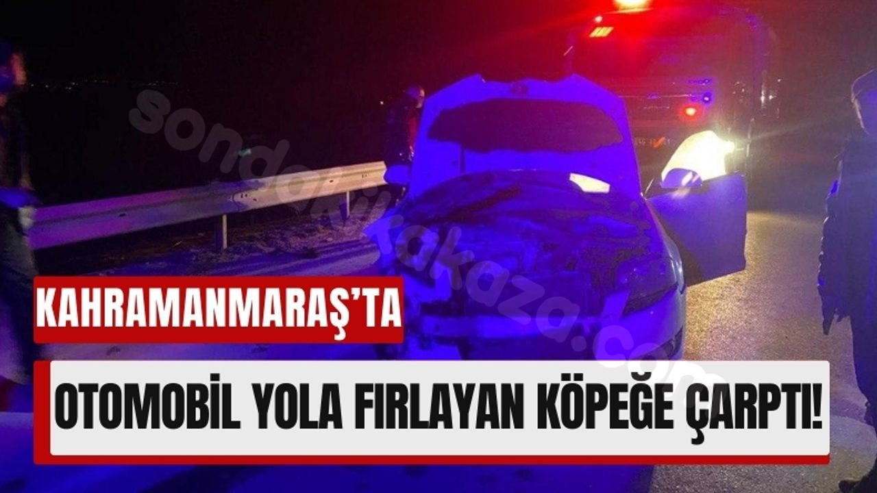 Kahramanmaraş'ta Kaza Sonucunda Köpek Öldü, Araç Hasar Aldı!