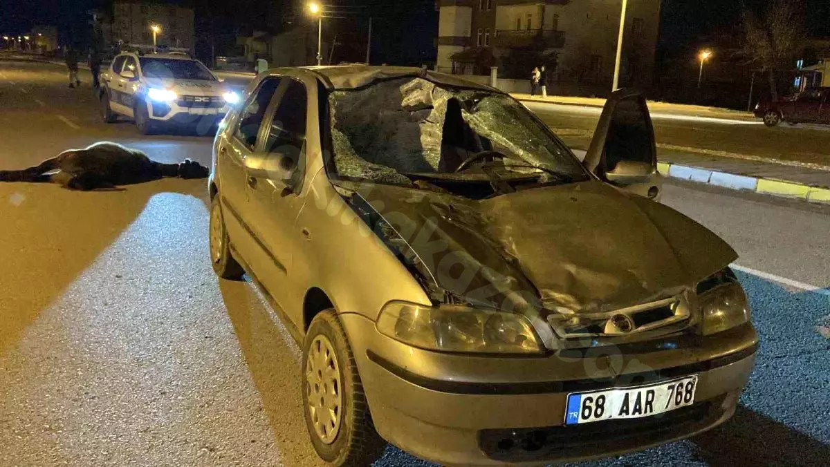 Aksaray'da Kaza: At Çarpan Araç Harabeye Döndü