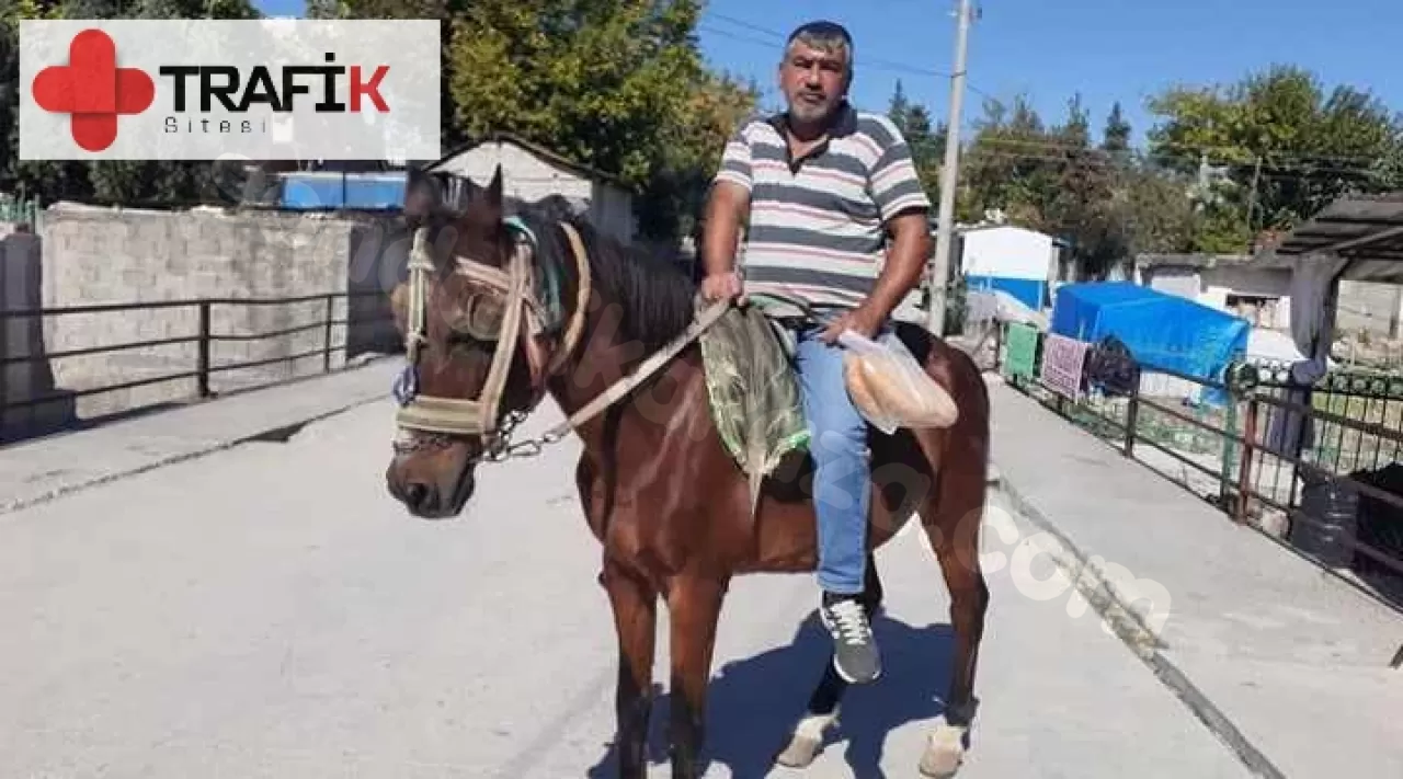 At kullanmanın trafikte yasaklanıp yasaklanmadığı hakkında bilgi verir misiniz?