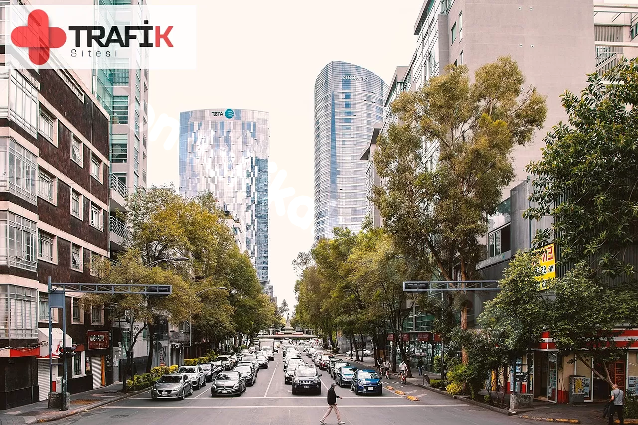 Trafik İşaret Levhalarının Tipik Görünümü Nasıldır?