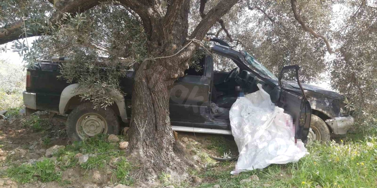 Aydın'da trafik kazası sonucu 1 kişi hayatını kaybetti.