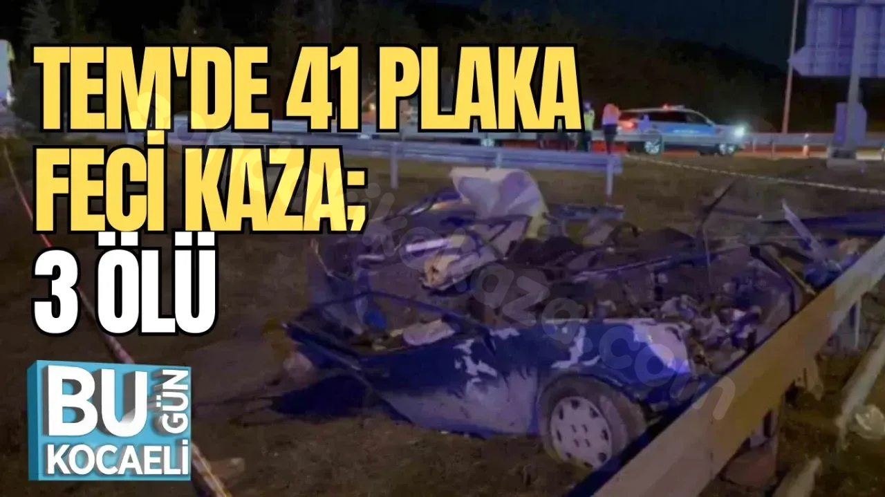 TEM'de 41 plakalı aracın karıştığı kazada 3 kişi yaşamını yitirdi.