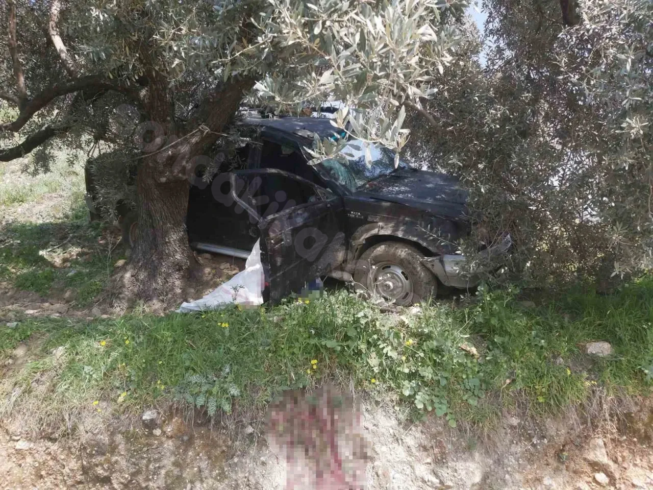 Aydın'da trafik kazasında 1 kişi hayatını kaybetti.