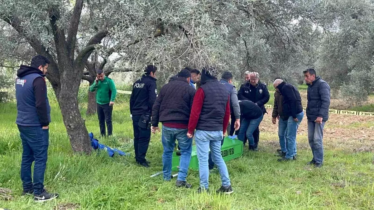 Trafik Kazasından Sonra Depresyona Giren Kişi, Zeytinlikte Ölü Bulundu.