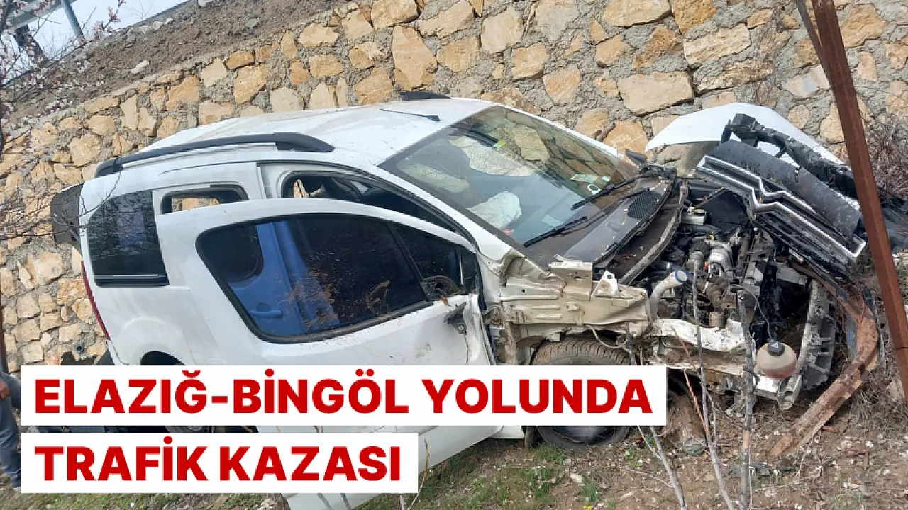 Elazığ-Bingöl yolunda trafik kazası