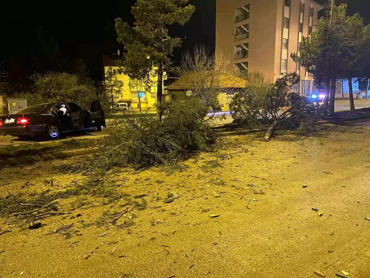 Isparta'da Trafik Kazası: 1 Yaralı