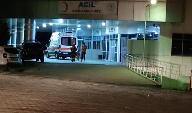 Bingöl'de kaza: 8 kişi yaralandı.