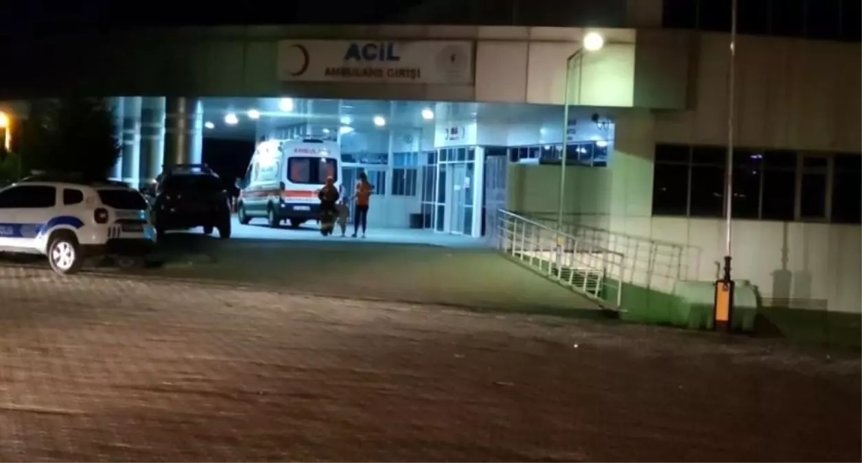 Bingöl'de trafik kazasında 8 kişi yaralı.