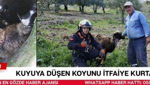 Zincirleme kaza, Akhisar'da meydana geldi.