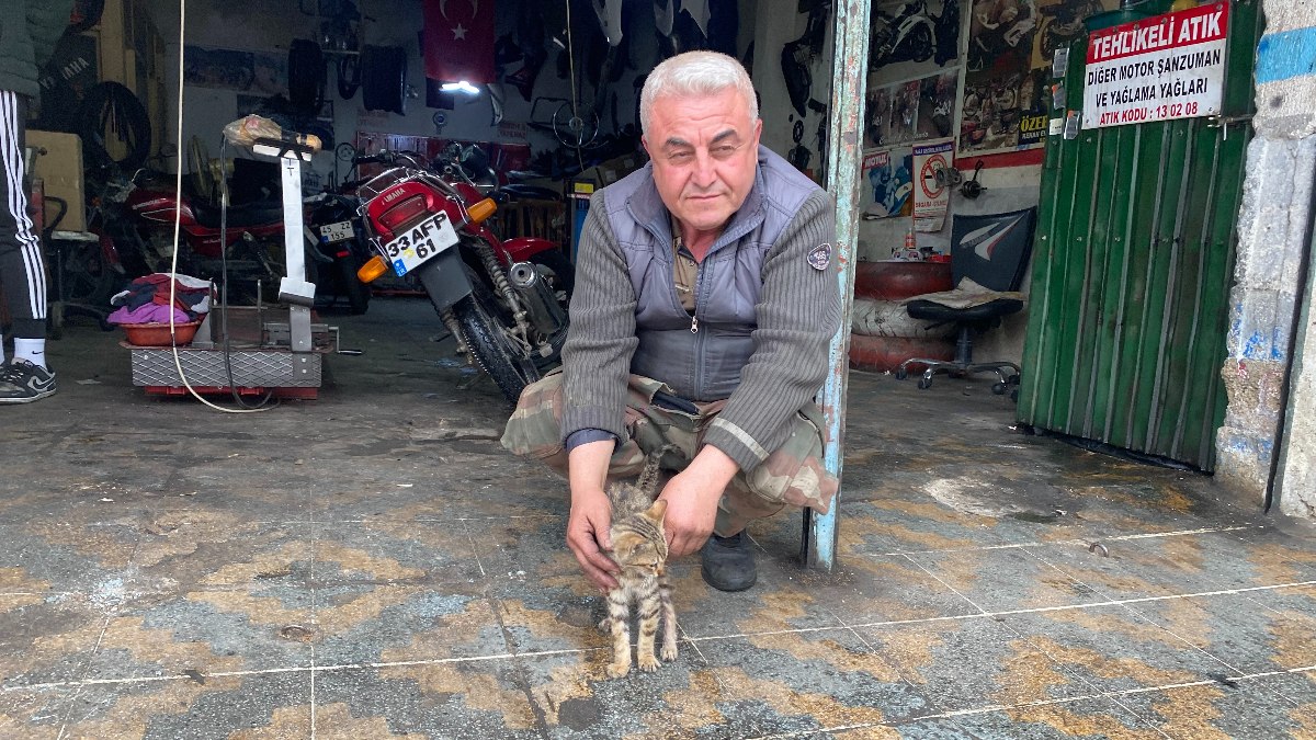 Manisa'da esnaf bir kediyi hayata bağladı