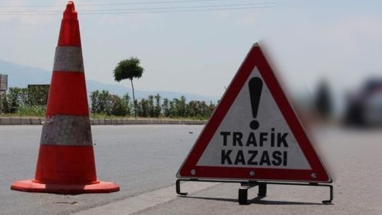 Alkollü sürücü kaza yaptı
