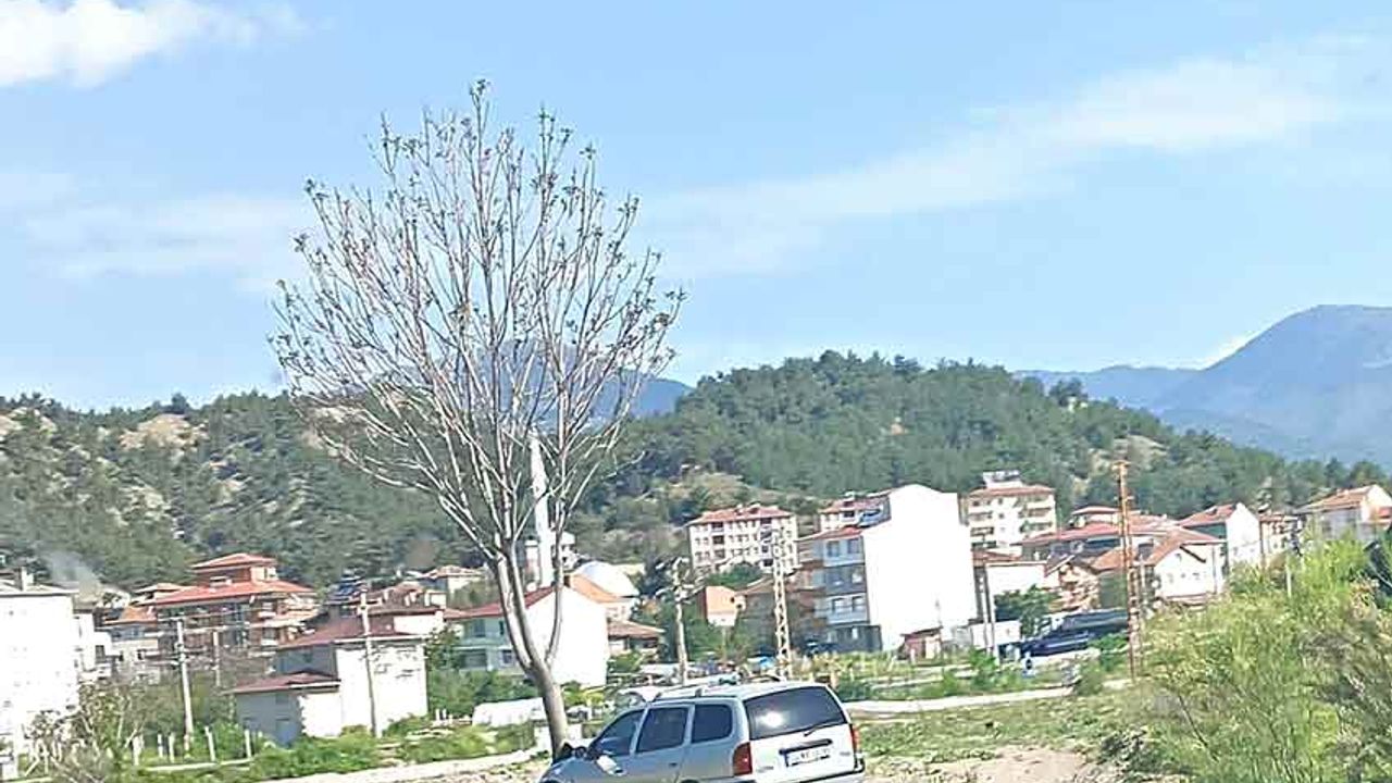 Kastamonu'da araç ağaçla çarpıştı: 2 kişi yaralandı.