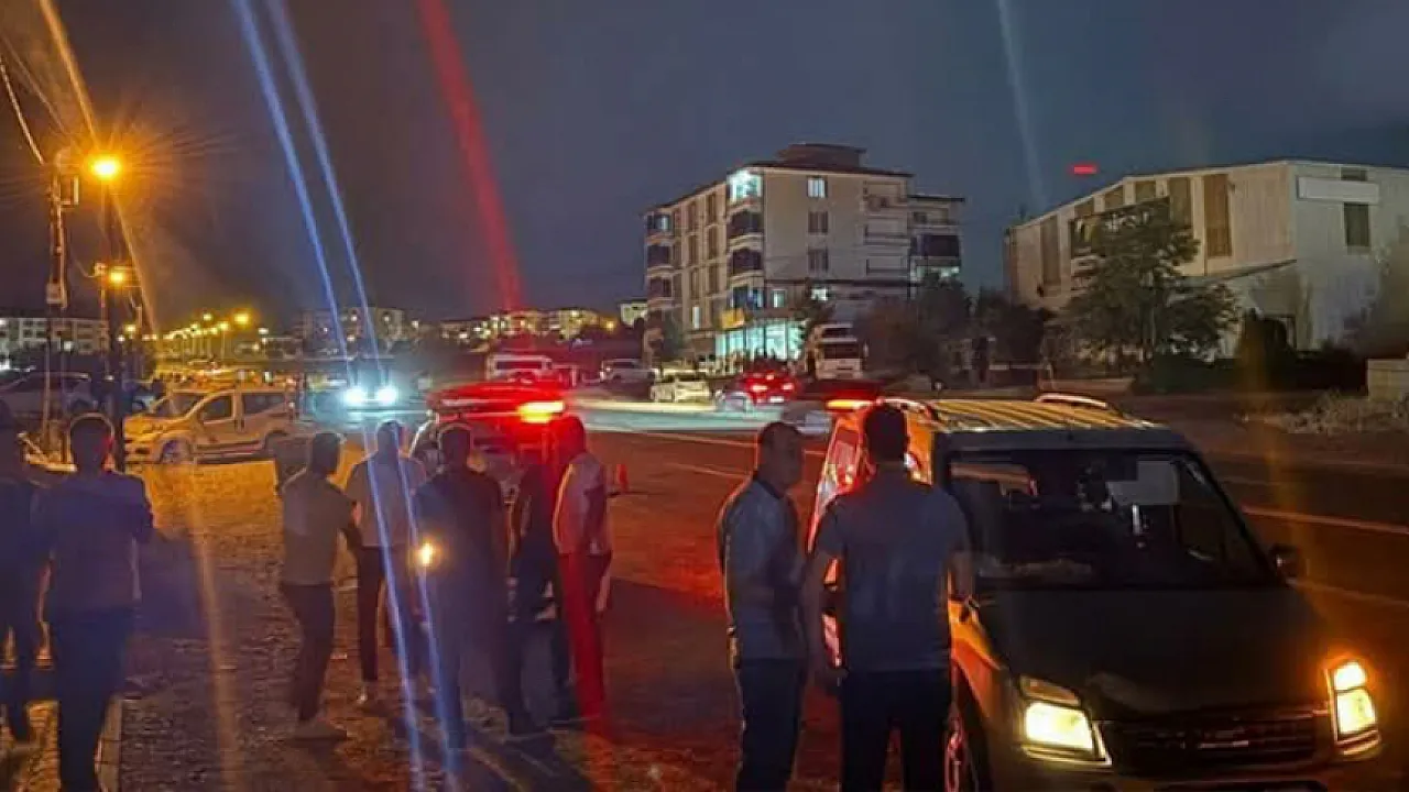 Yolun Karşısına Geçmeye Çalışırken Hayatını Kaybetti!