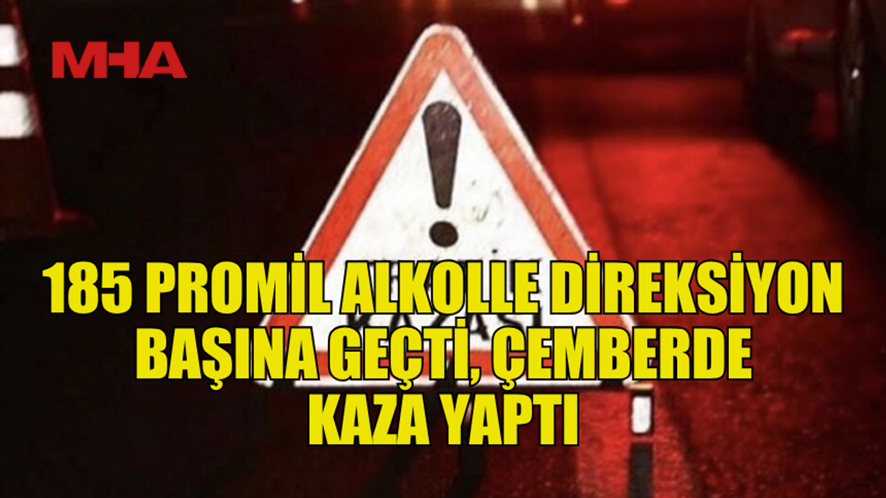 İÇKİLİ SÜRÜCÜ DÖNMEZİNDE KAZAYA NEDEN OLDU