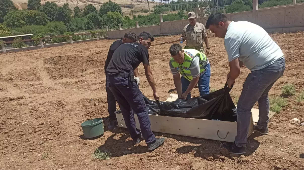 Genç bir kişi Mardin'de trafik kazasında hayatını kaybetti.