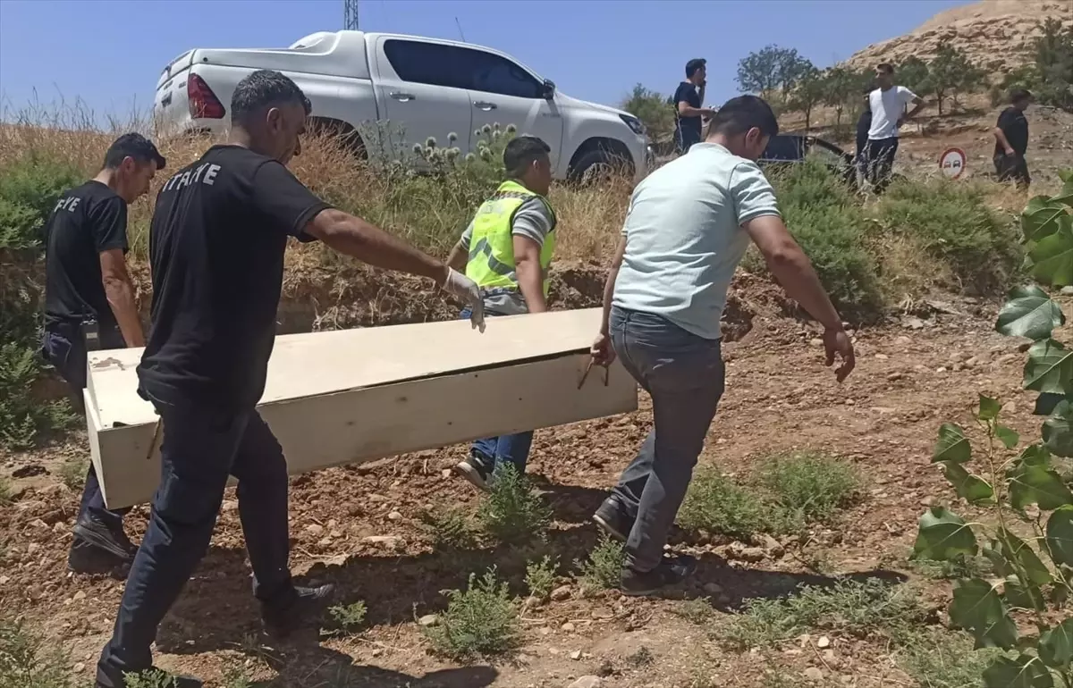 Nusaybin'de Trafik Kazasında 1 Kişi Hayatını Kaybetti, 1 Kişi Yaralandı.