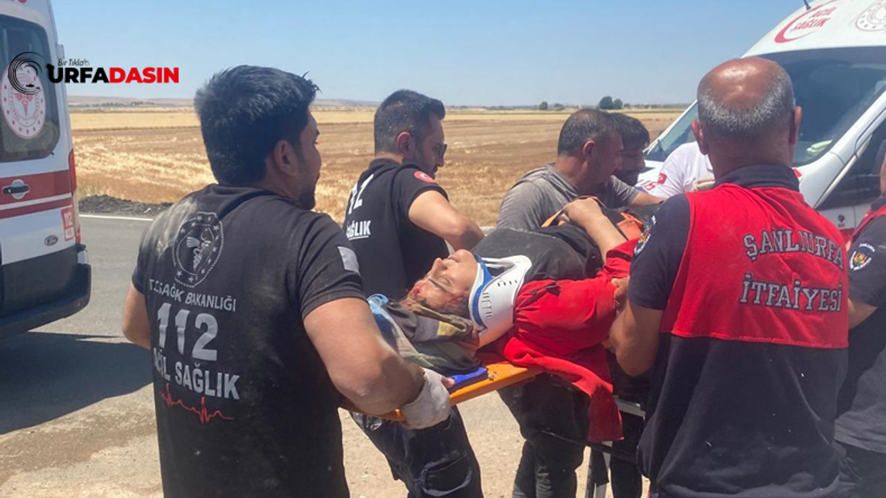 Suruç'ta Mürşitpınar Çevre Yolunda Kaza; 7 Kişi Yaralandı