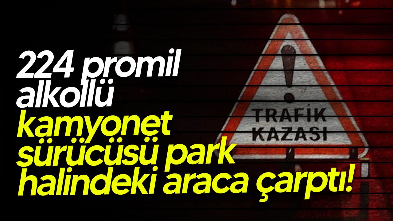 Yayla'da alkol alarak kaza yapan sürücü tutuklandı.