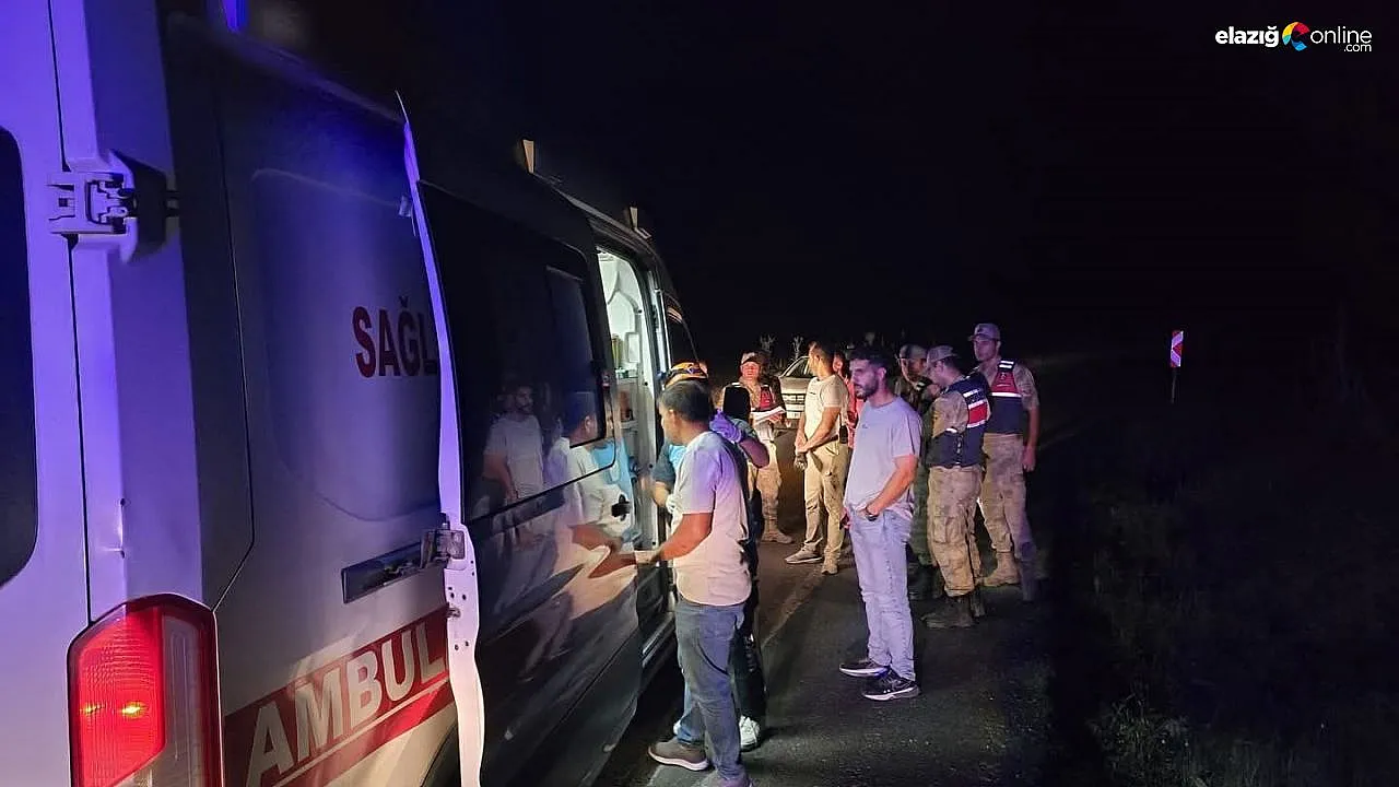 Bingöl'de kaza: 4 kişi yaralandı.