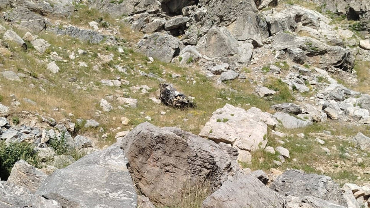 Batman'da kaza: 5 kişi araçla birlikte şarampole devrildi, hayatını kaybetti.