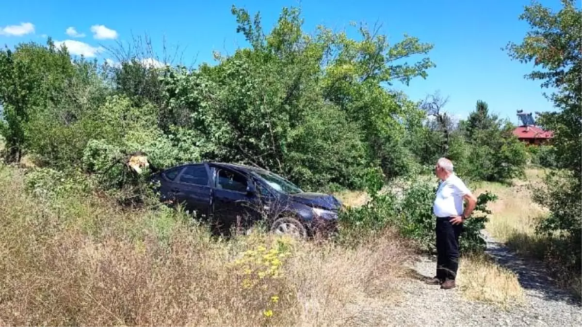 Erzincan-Kemah Yolu'nda Trafik Kazası: Araç Ağaçlara Çarptı