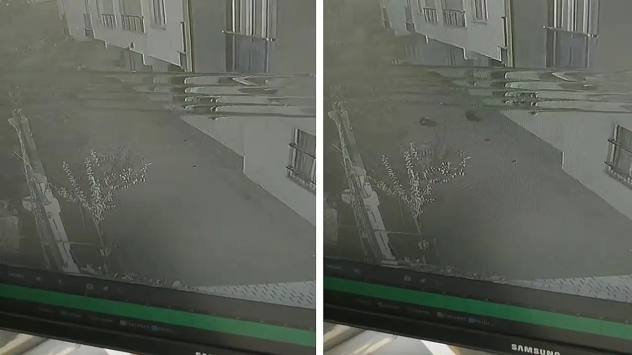 Siirt'te Fren Sorunu: Araç Bahçeye Girdi!