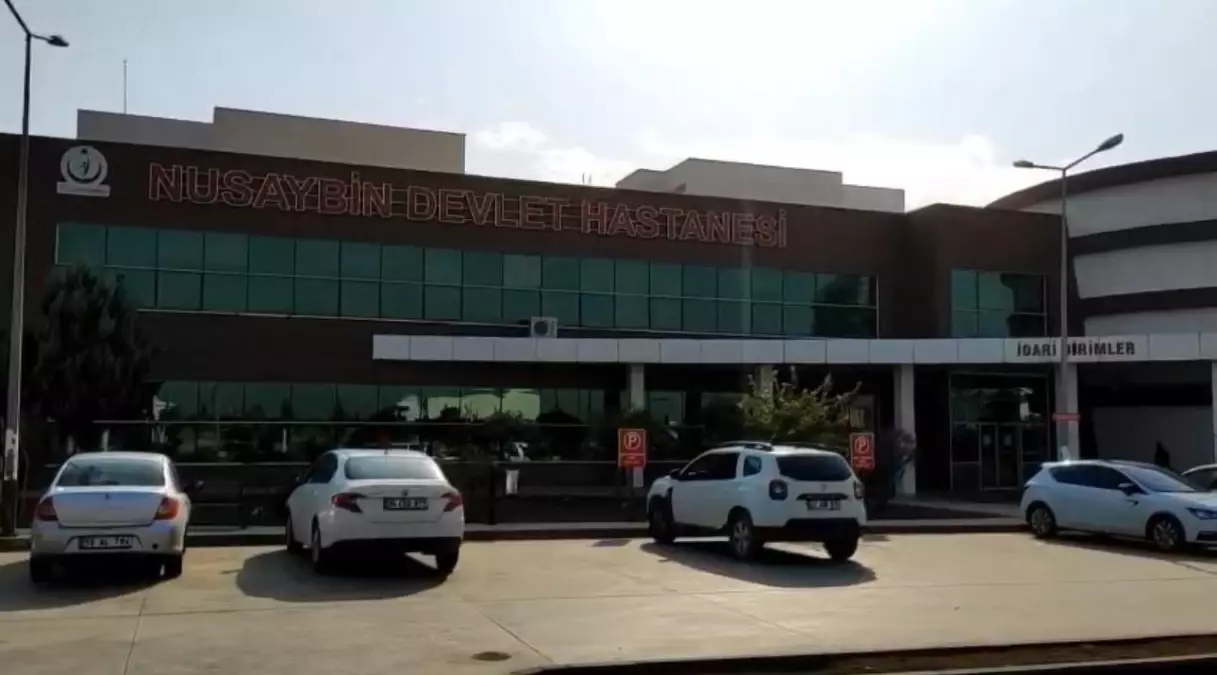 Nusaybin'de trafik kazasında 69 yaşındaki bir kişi yaşamını yitirdi.
