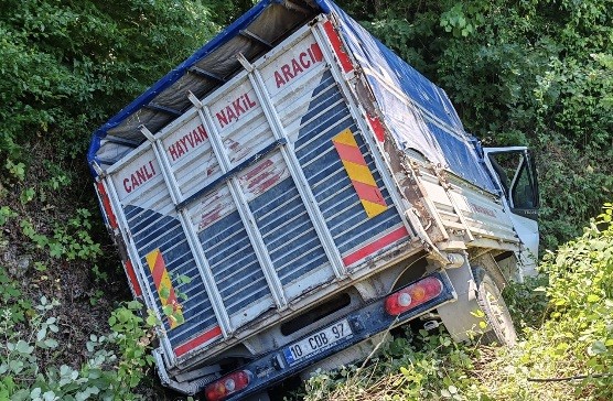 Manyas'ta trafik kazasında 1 kişi yaralandı.