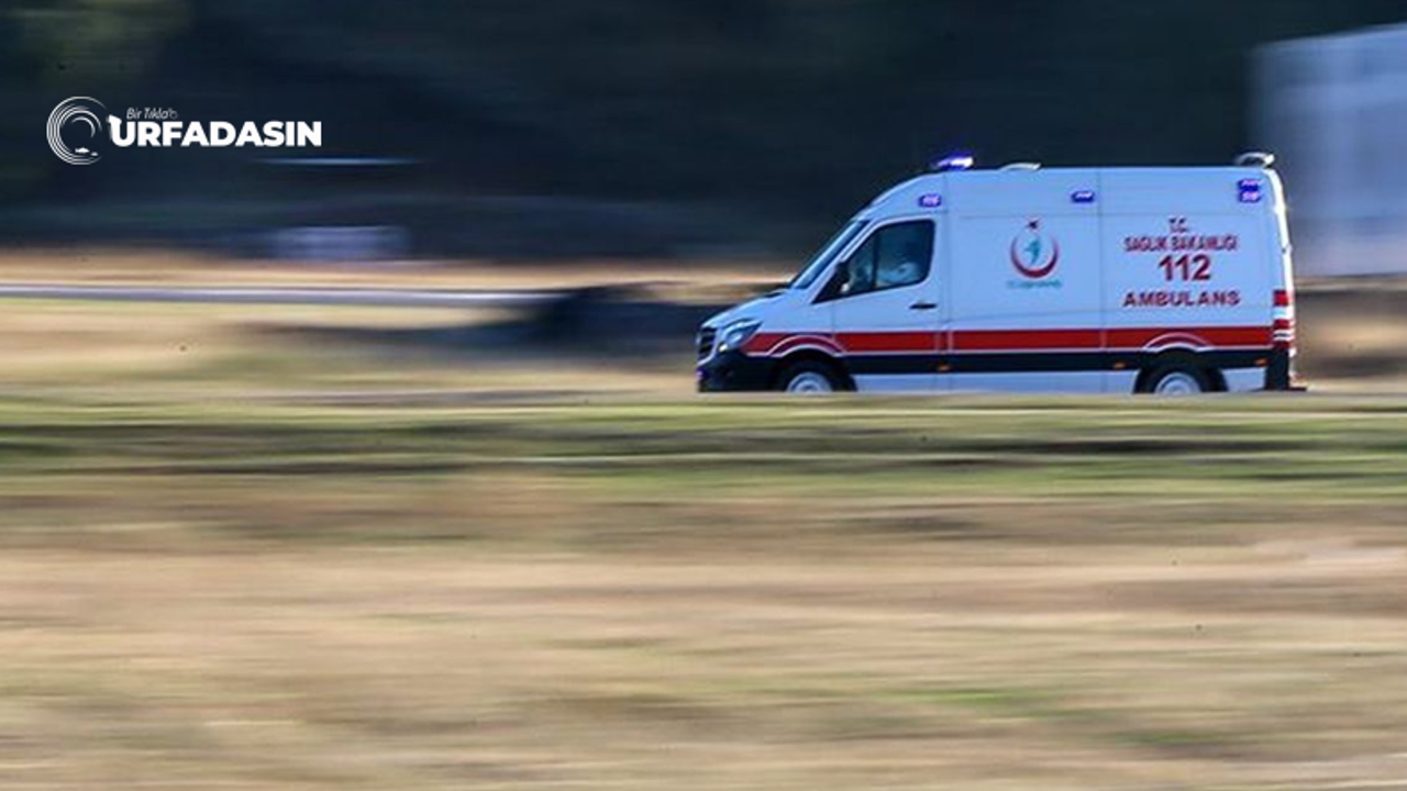 Viranşehir'de Kaza Sonucu 5 Kişi Yaralandı