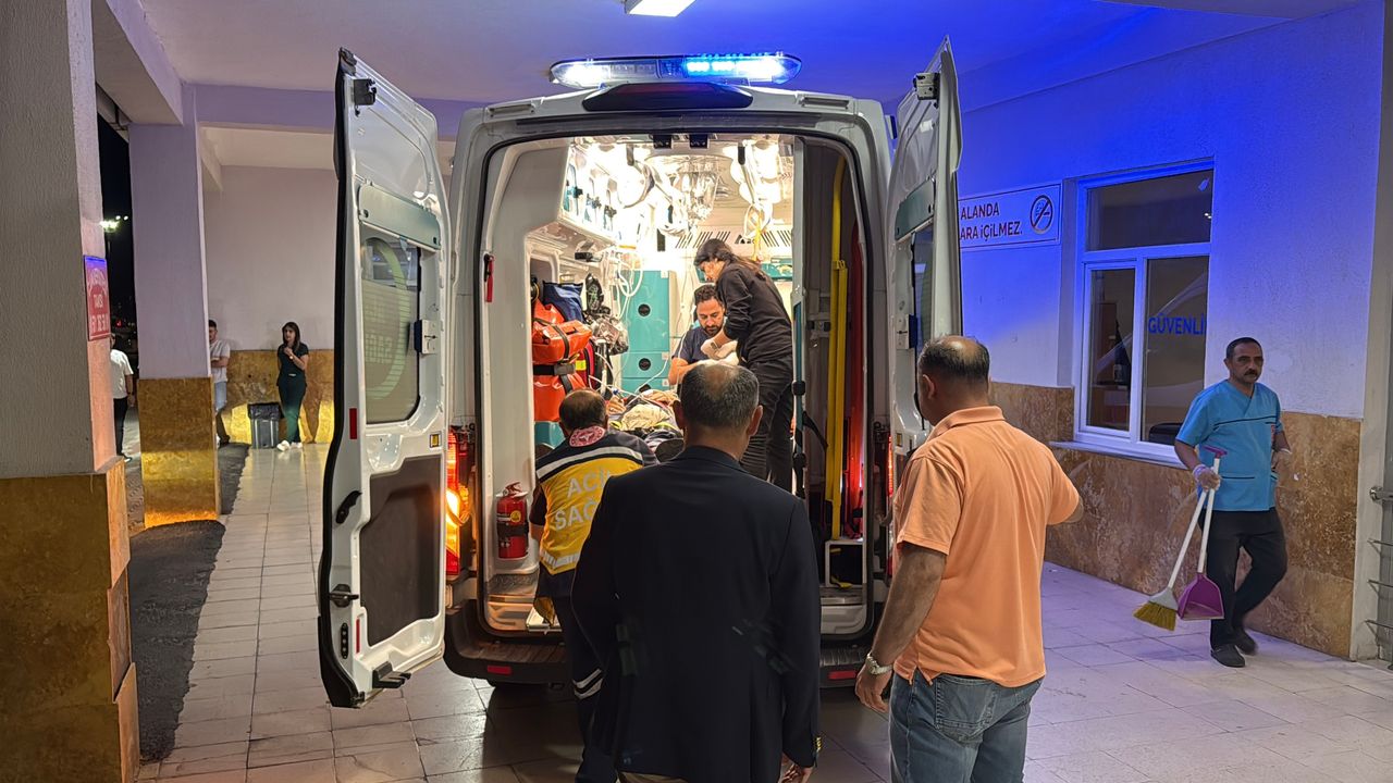 Eski Bitlis Valisi Karaömeroğlu kaza yaptı, 4 kişi yaralandı.