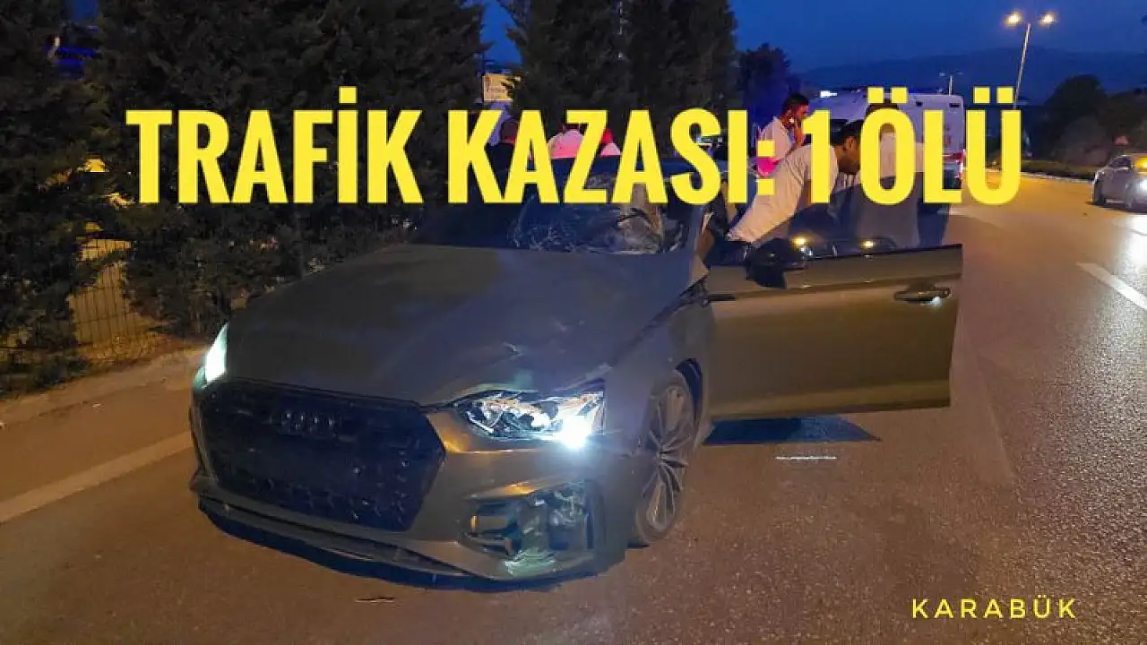Trafik kazasında hayatını kaybeden 1 kişi var.