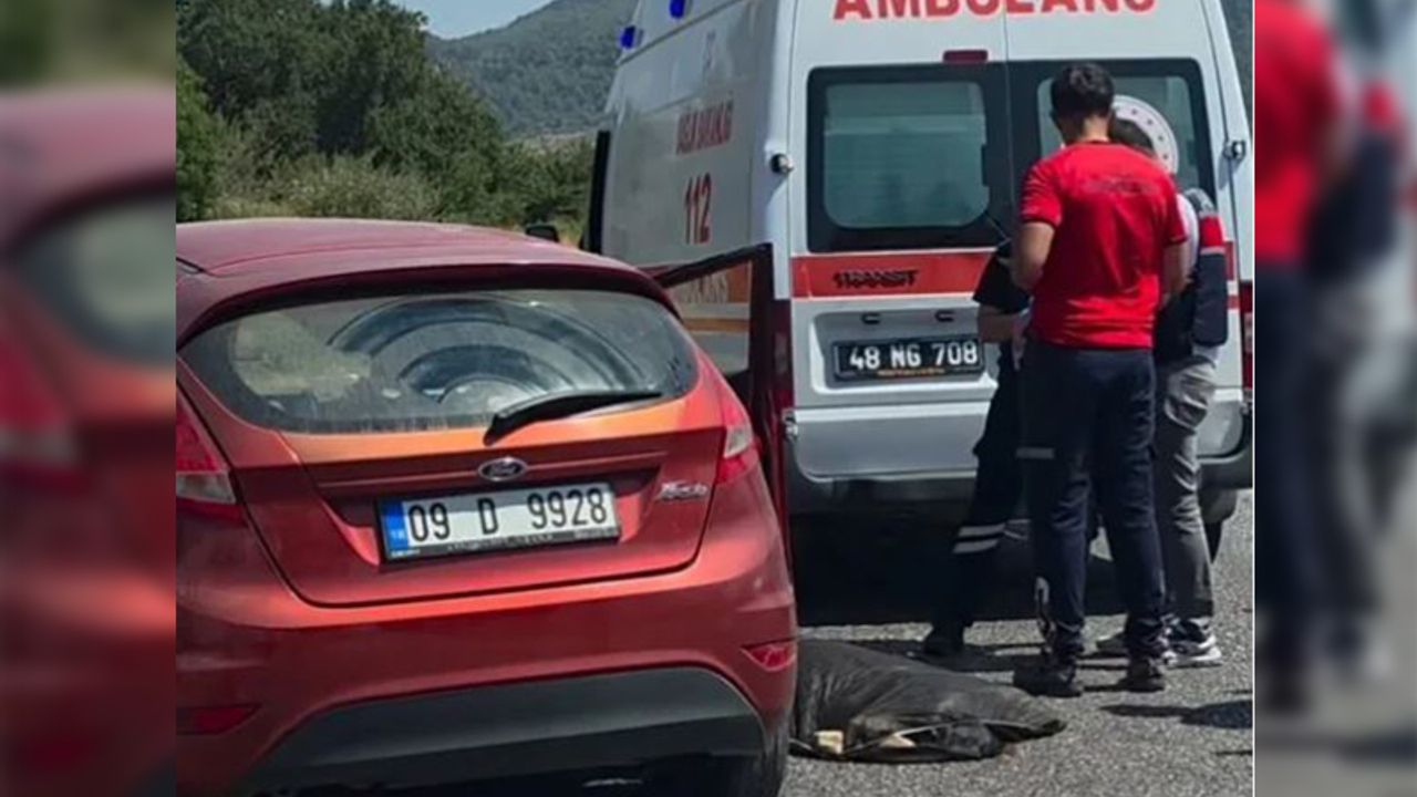 Didim-Milas yolu kazasında bir kişi hayatını kaybetti, bir kişi yaralandı.