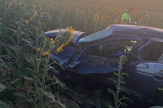 Susurluk'ta trafik kazasında 3 kişi yaralı olarak kurtuldu.