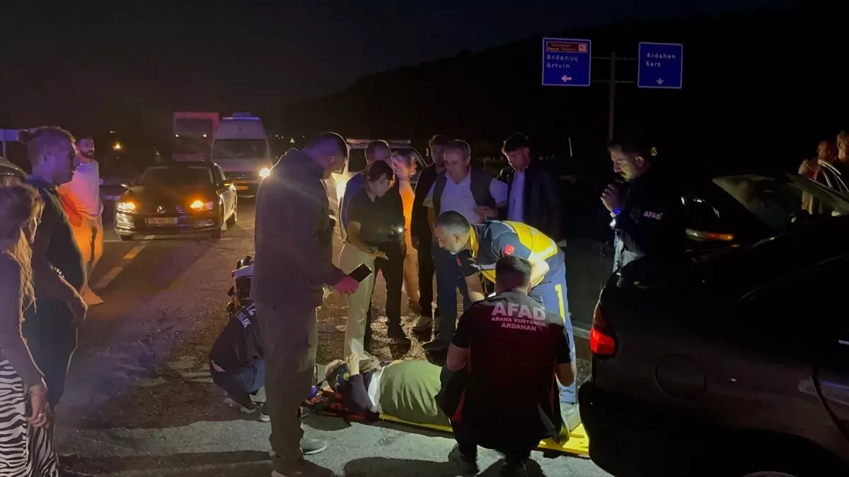 Ardahan'da Kaza: 4 Kişi Yaralandı