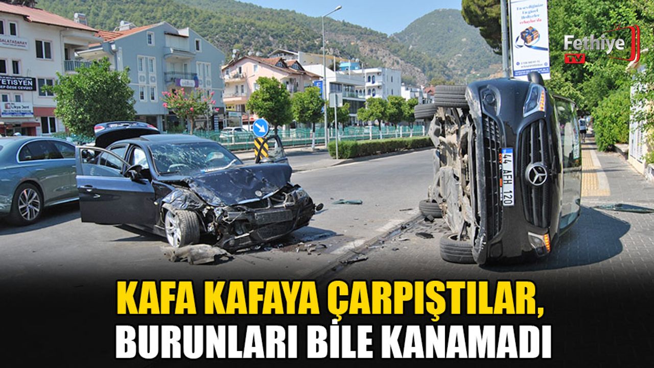 Kafalar Karşılaştı, Ne Burnu Kanadı!