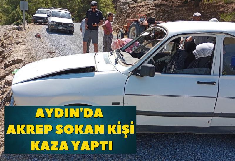 Aydın'da akrebin soktuğu kişi kaza geçirdi.