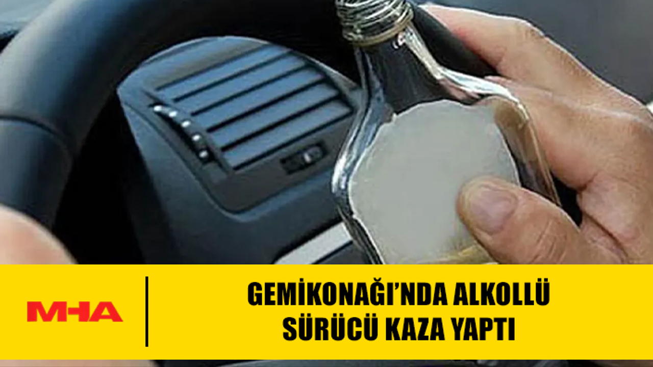 Gemlik'te sarhoş sürücü kaza yaptı.