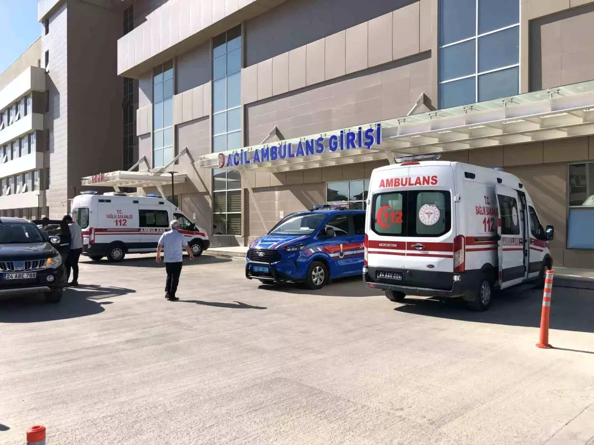 Erzincan'da kaza sonucunda altı kişi yaralandı.