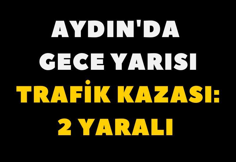 Aydın'daki trafik kazasında 2 kişi yaralandı.