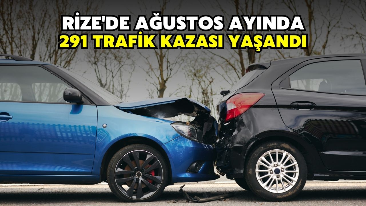 Rize'de Ağustos'ta 291 trafik kazası meydana geldi.