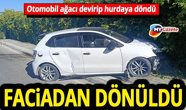 Manavgat'ta ürkütücü kaza: Araç, ağaca çarparak duvara çarptı! - Antalya