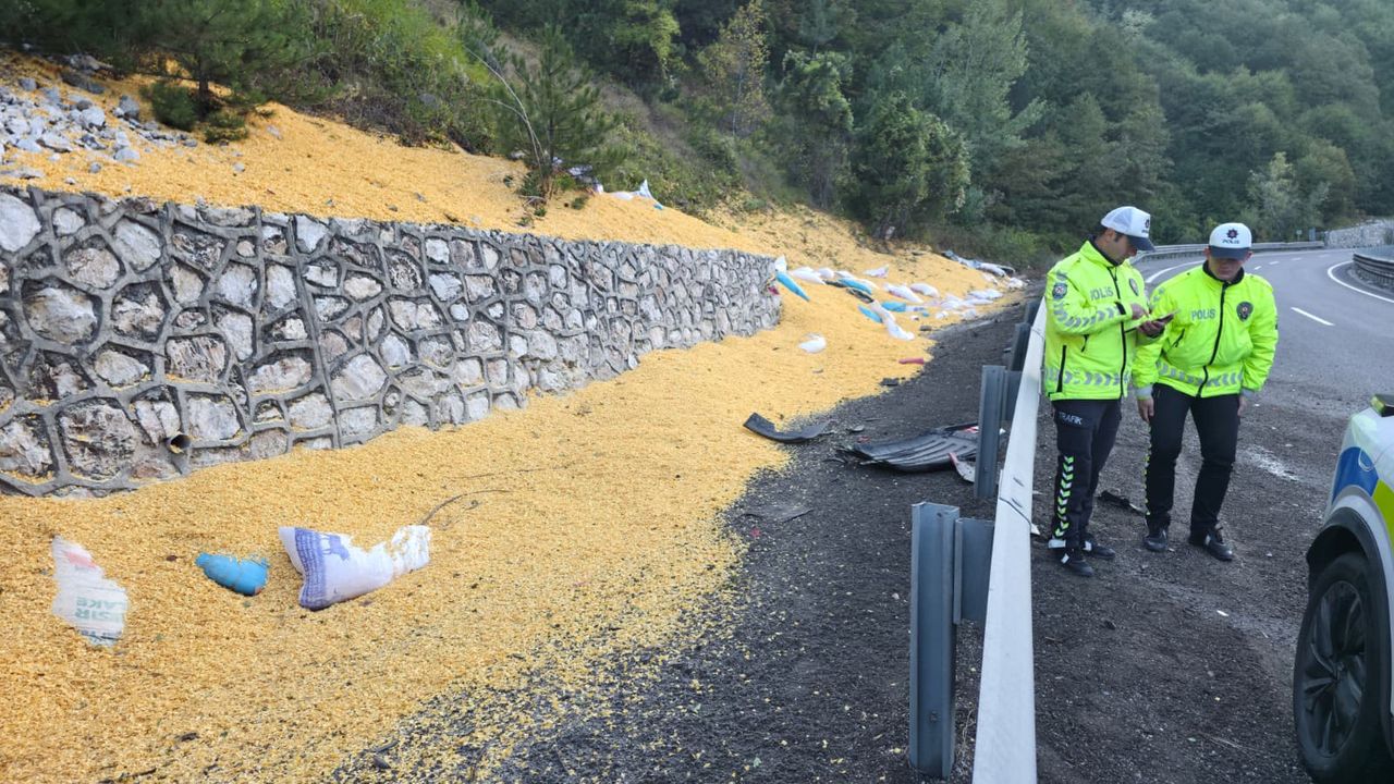 Bursa'da meydana gelen trafik kazasında 2 kişi ciddi şekilde yaralandı.