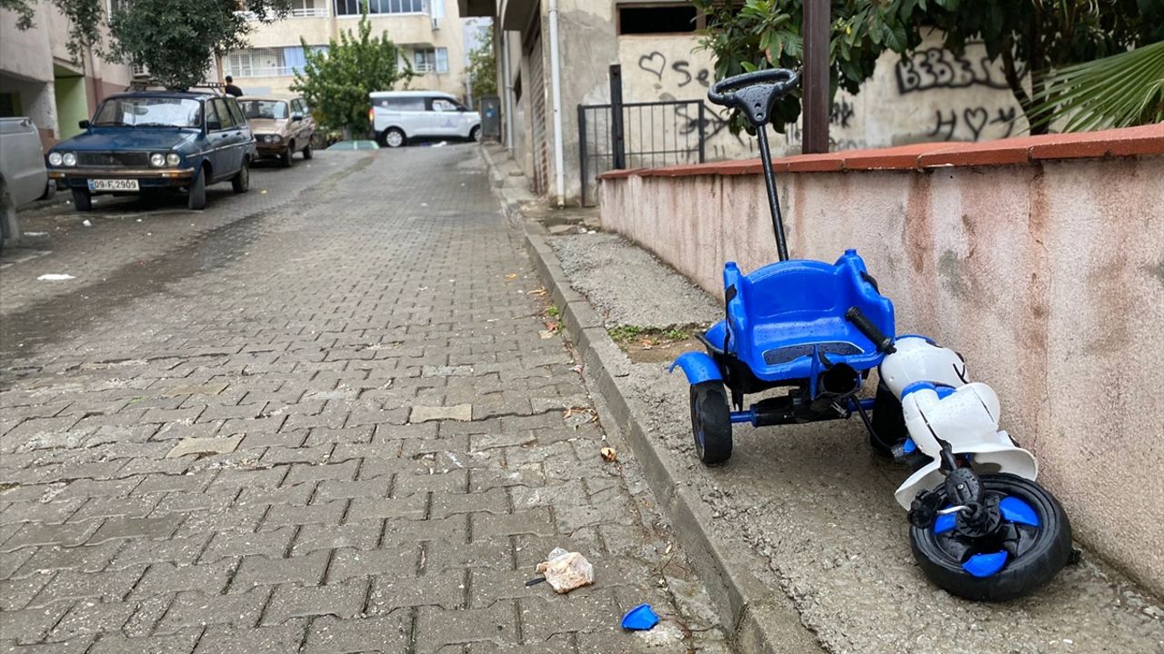 Aydın'da torununu kurtarmaya çalışırken ölen kadın trafik kazasında yaşamını yitirdi.