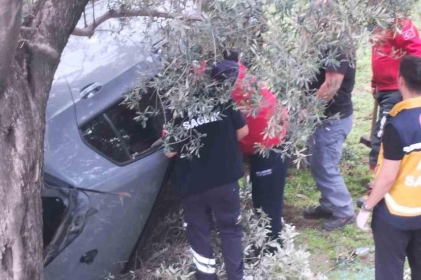 Zeytin bahçesine düşen aracın kontrolü kayboldu: 2 yaralı var