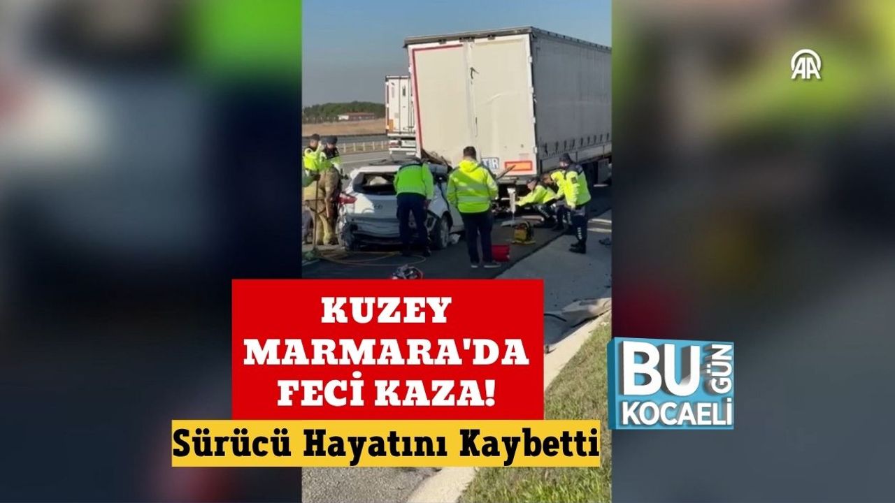 Kuzey Marmara'da Üzücü Kaza! Araç Sürücüsü Öldü