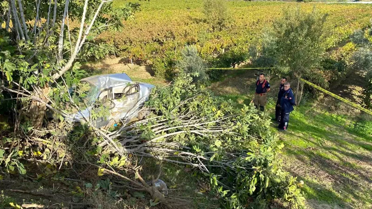 Manisa'da trafik kazasında şoför öldü.