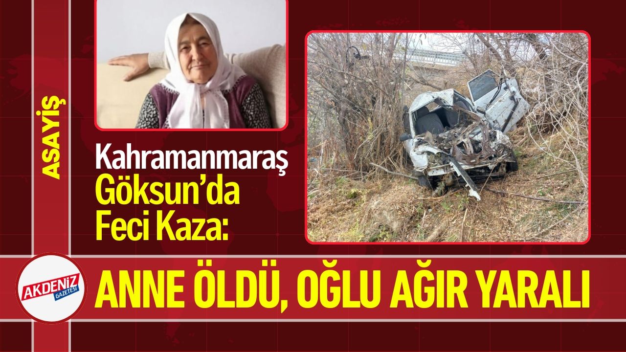 Korkunç Olay: Anne Öldü, Oğlu Ağır Durumda