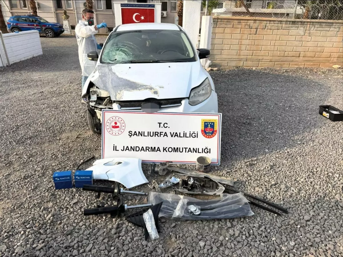 Yol kenarında cenaze bulunan gizem çözüldü!