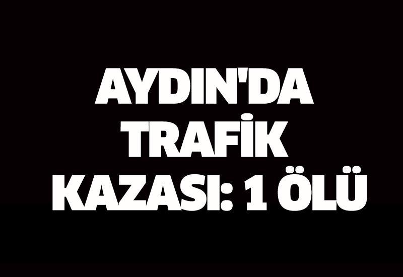 Aydın'da meydana gelen trafik olayında bir kişi hayatını kaybetti.