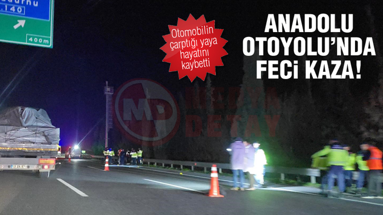 Anadolu otoyolunda ciddi bir trafik kazası!